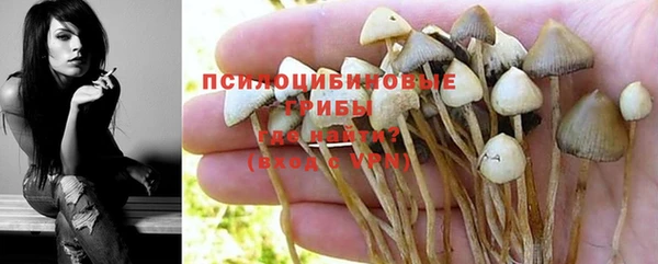 apvp Алзамай