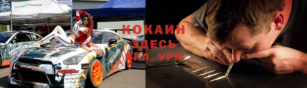 прущие грибы Алексеевка