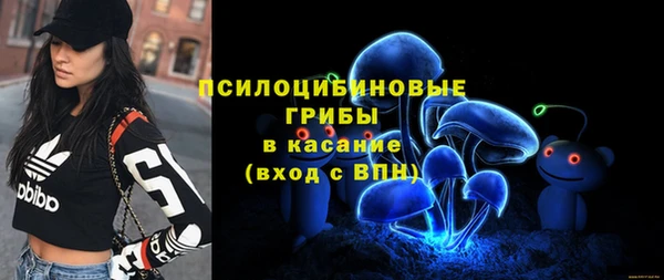 apvp Алзамай