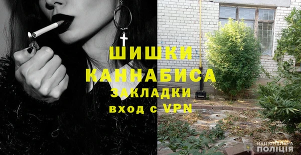 прущие грибы Алексеевка