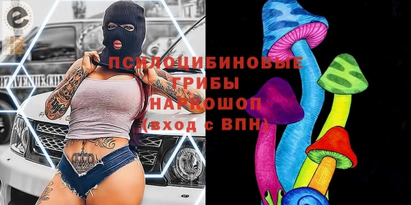 прущие грибы Алексеевка