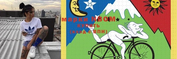 прущие грибы Алексеевка