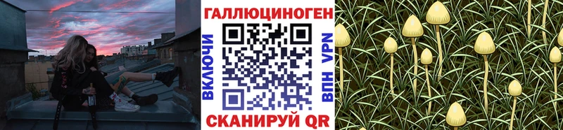 blacksprut ТОР  продажа наркотиков  Чебаркуль  Галлюциногенные грибы мицелий 